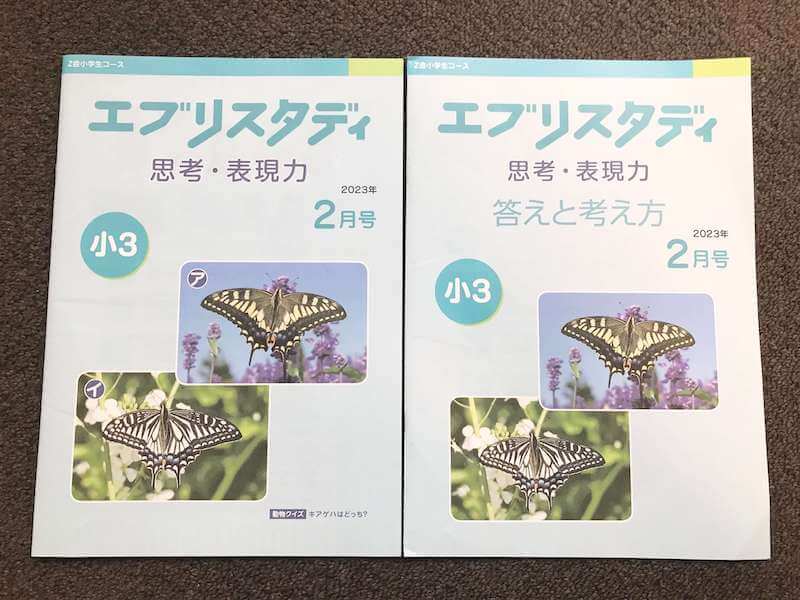 華麗 z会小学生コース エブリスタディ 4年生 思考·表現力 一年分 答え