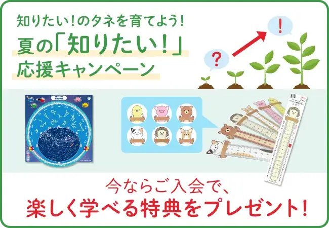 夏のキャンペーン