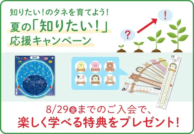 夏のキャンペーン