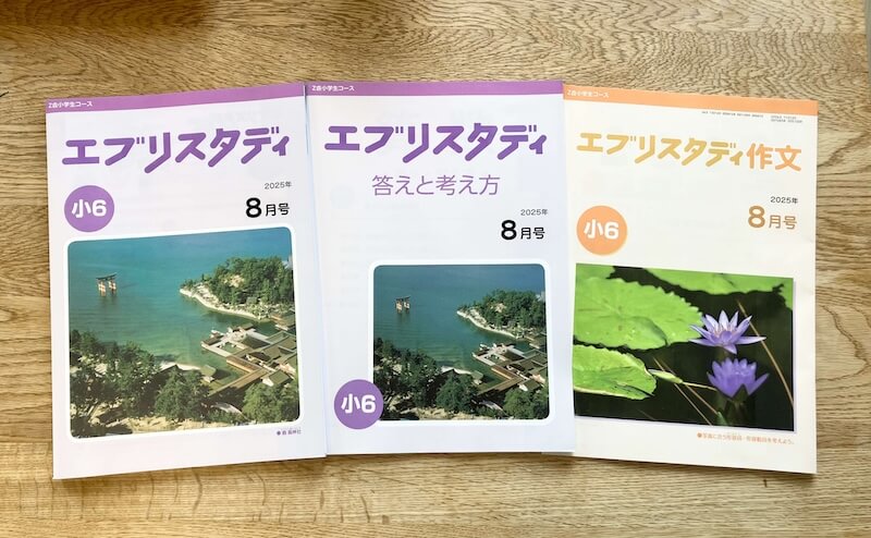 Z会　エブリスタディ 小学６年　国算英　1年分（2024/4〜2025/2） Z会 エブリスタディ 小学6年 国算英 1年分（2024/4〜